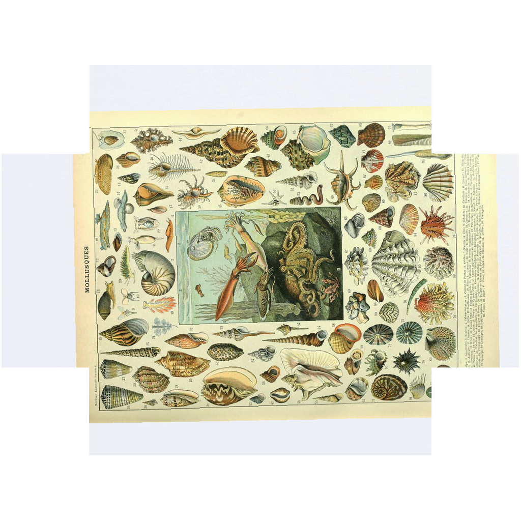 Millot Sea Creature Crib Sheet