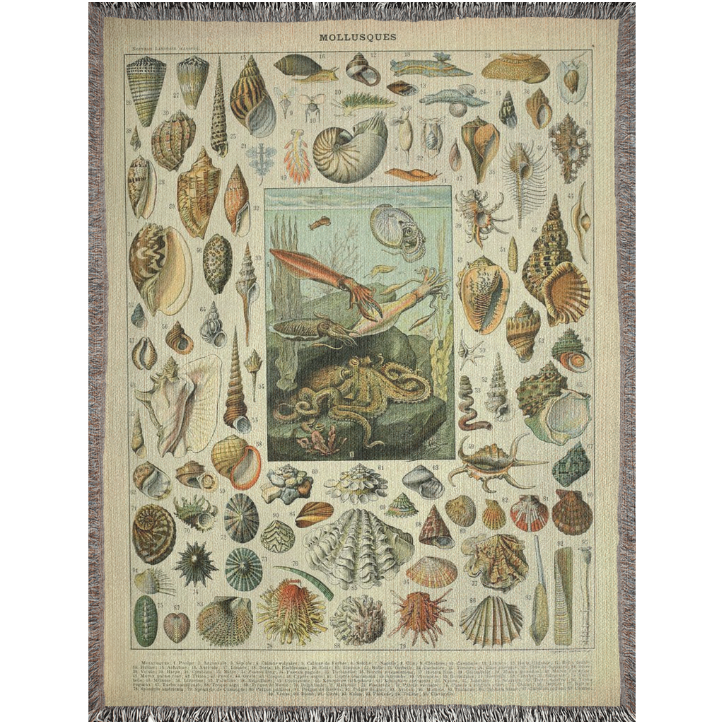 Adolphe Millot Mollusque Woven Blanket