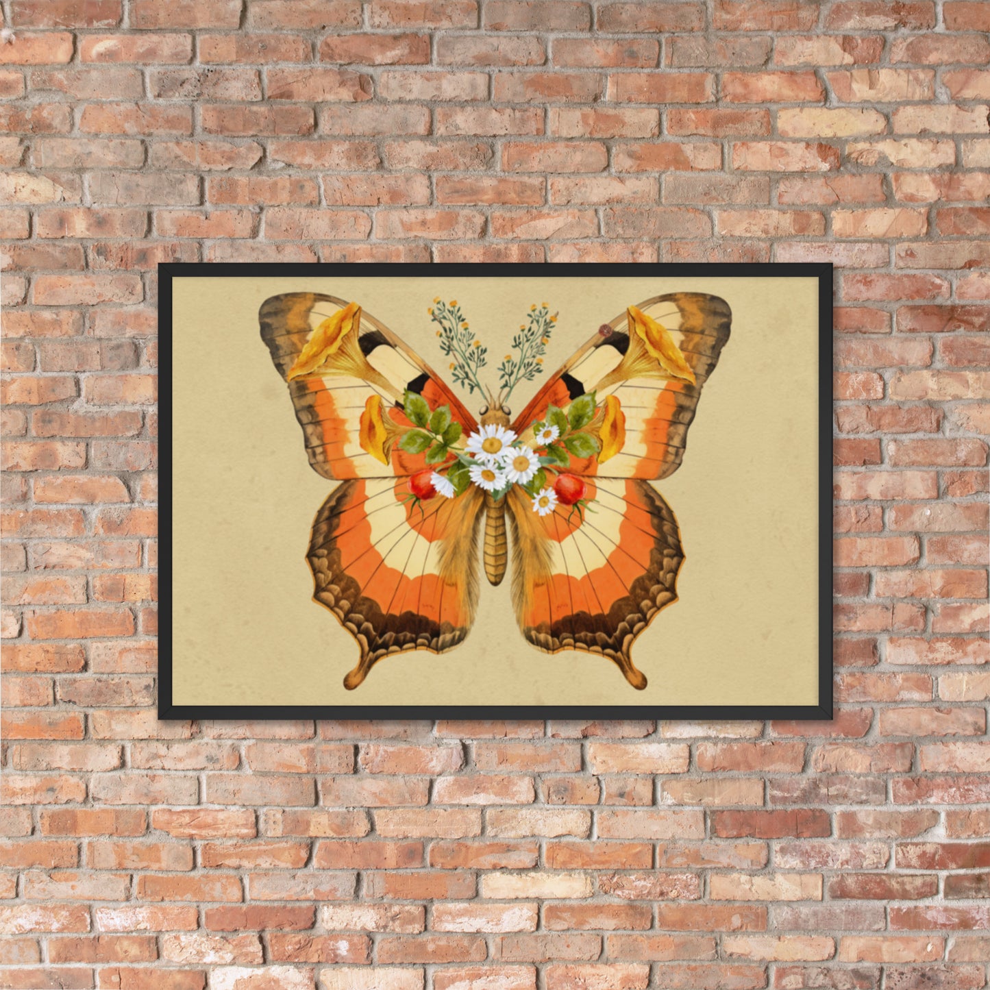 Fungi Fly Framed Print