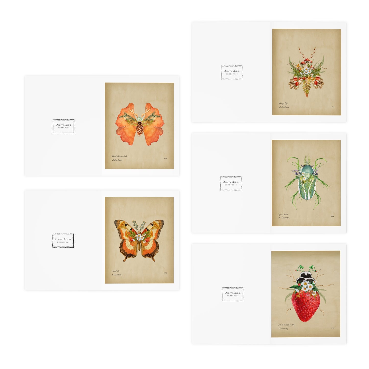 Botanical Insect Greeting Card Pack | Original Illustrations by Maine Artist Lauren LeMatty