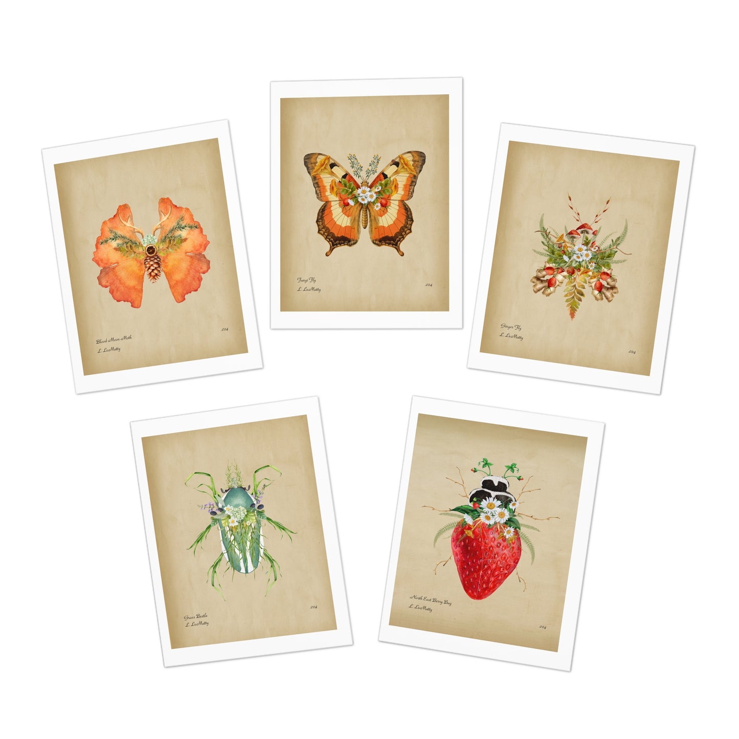 Botanical Insect Greeting Card Pack | Original Illustrations by Maine Artist Lauren LeMatty