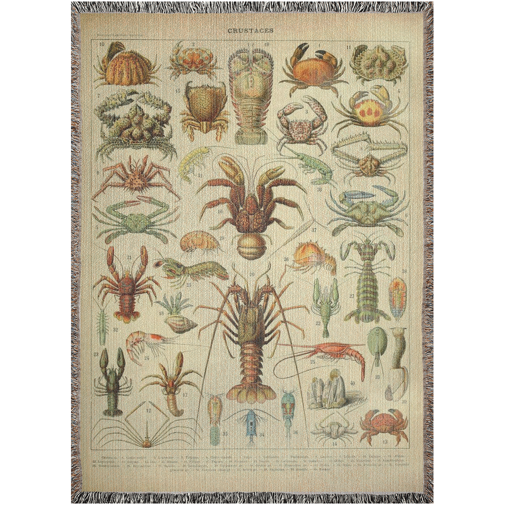 Staces Sea Life Woven Blanket - A Stunning Crustacean Infused Masterpiece