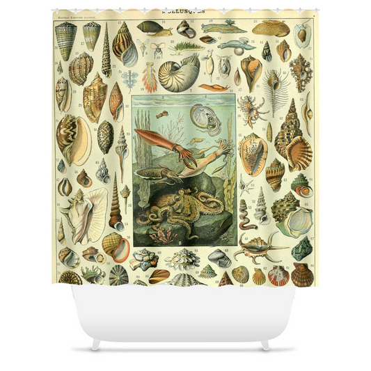 Millot Mollusques Shower Curtain