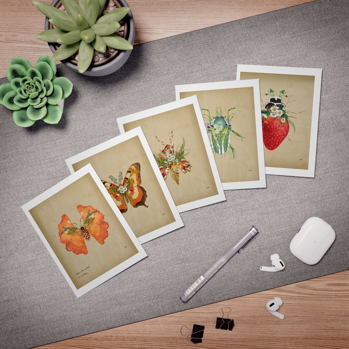 Botanical Insect Greeting Card Pack | Original Illustrations by Maine Artist Lauren LeMatty