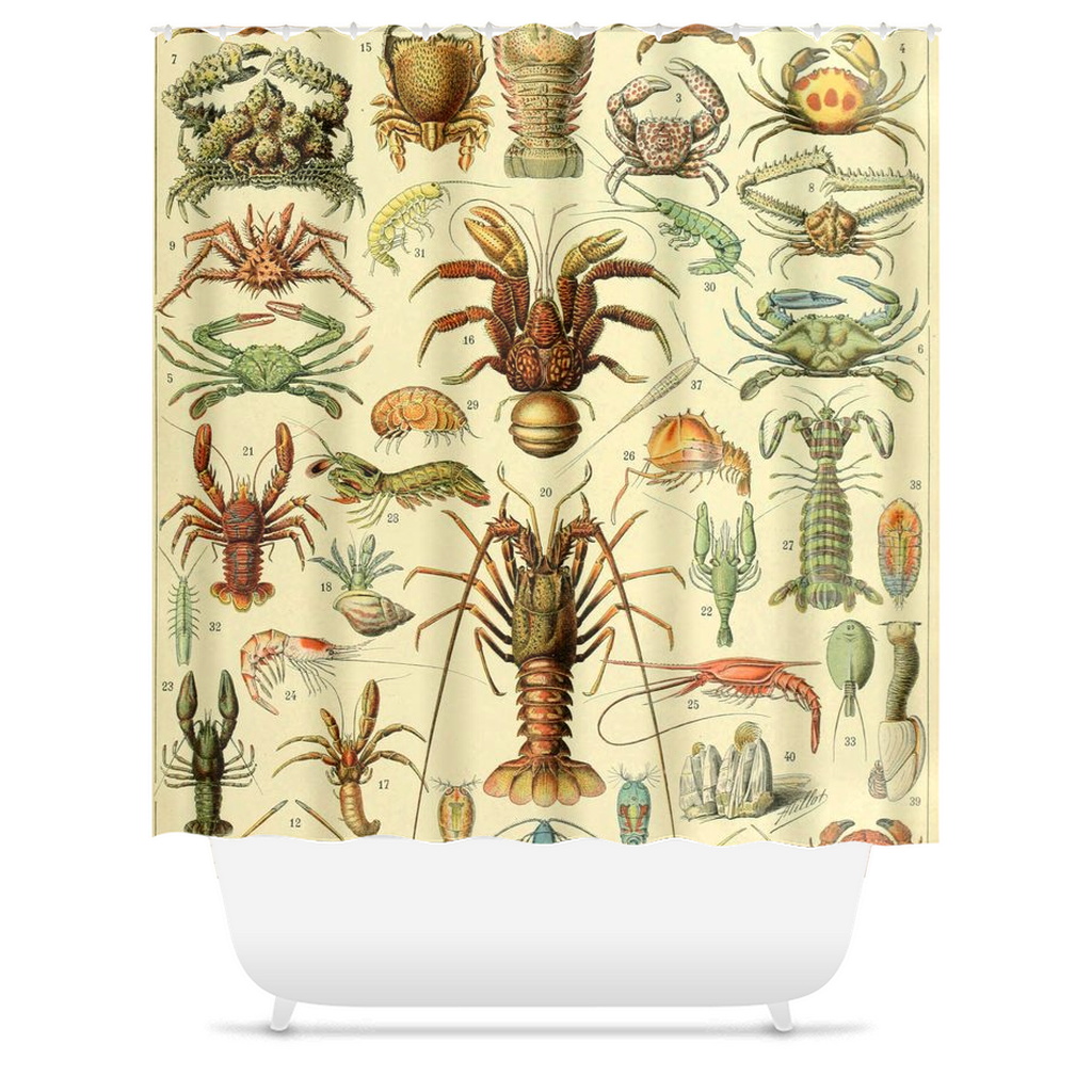 Millot Crustacien Shower Curtains