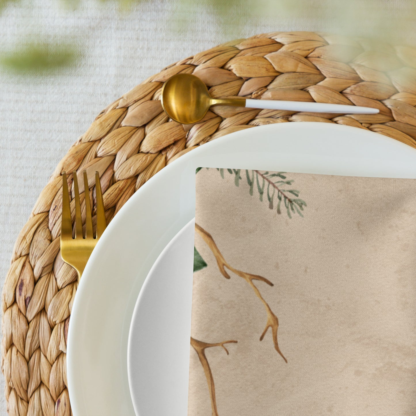 Cloth napkin set