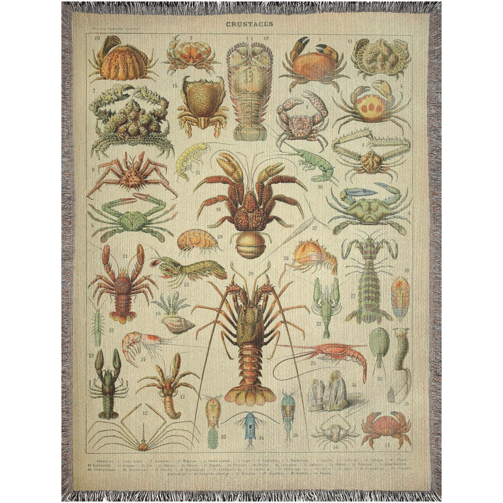 Staces Sea Life Woven Blanket - A Stunning Crustacean Infused Masterpiece
