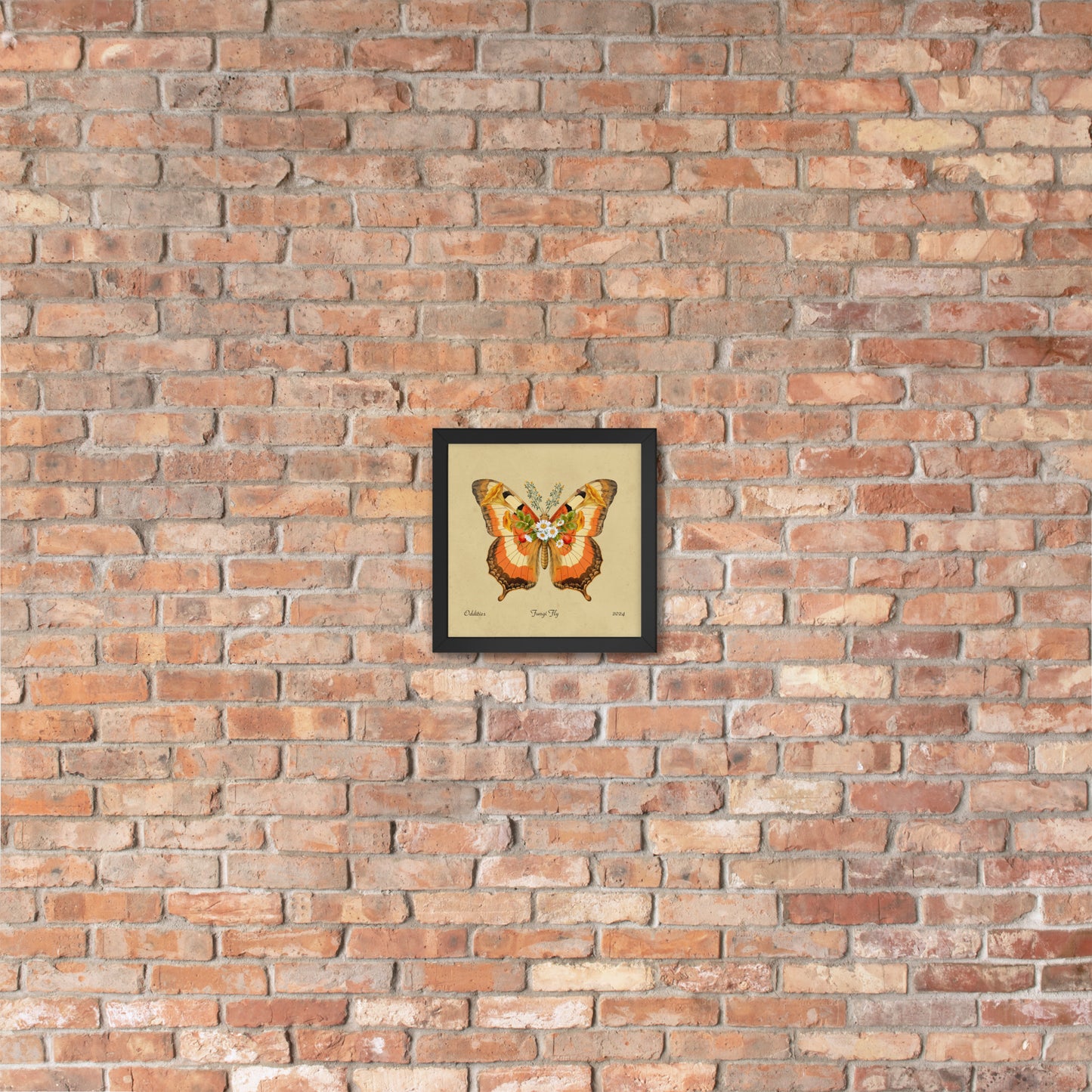 Fungi Fly Framed Print