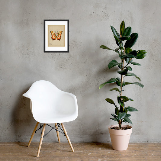 Fungi Fly Print by Lauren LeMatty | Stunning Framed Poster