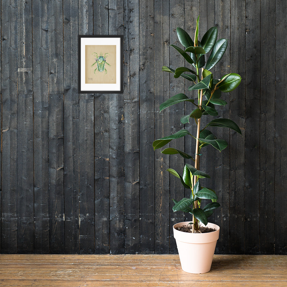 Grass Beetle Print by Lauren LeMatty | Stunning Botanical Illustration Framed Poster