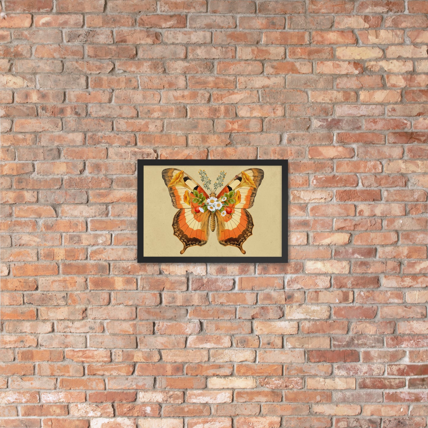 Fungi Fly Framed Print