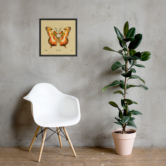 Fungi Fly Framed Print