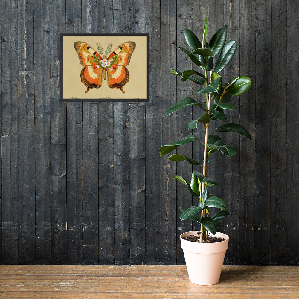 Fungi Fly Framed Print