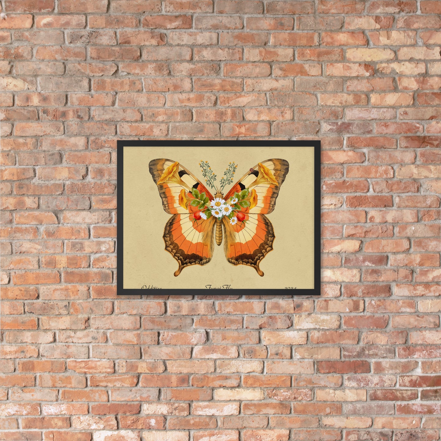 Fungi Fly Framed Print