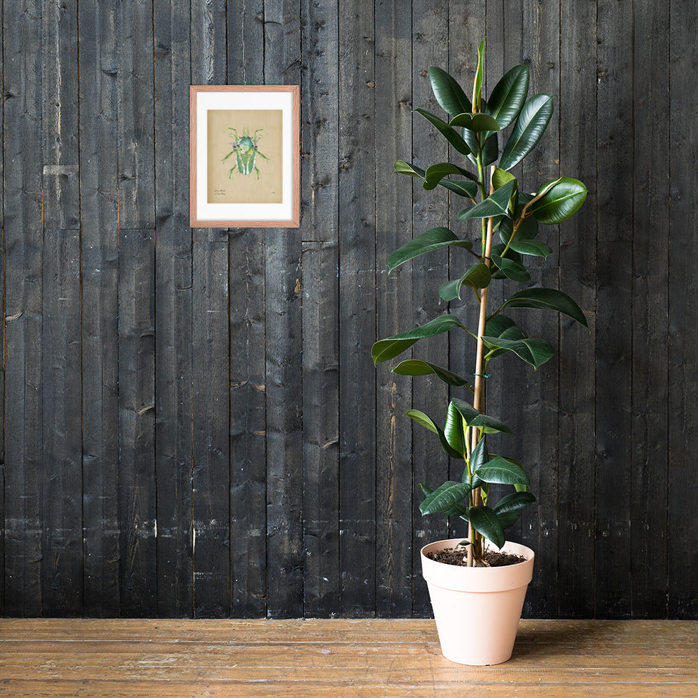 Grass Beetle Print by Lauren LeMatty | Stunning Botanical Illustration Framed Poster