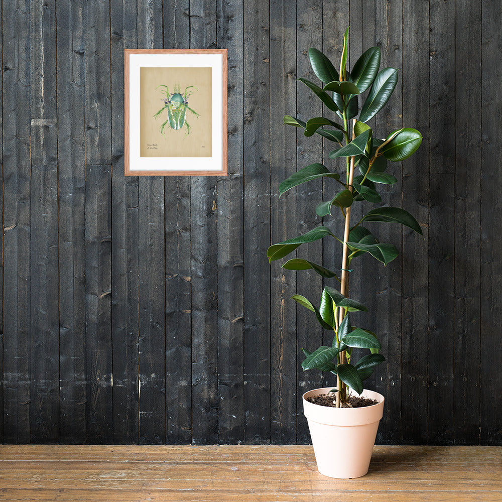 Grass Beetle Print by Lauren LeMatty | Stunning Botanical Illustration Framed Poster