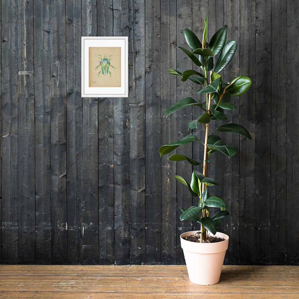 Grass Beetle Print by Lauren LeMatty | Stunning Botanical Illustration Framed Poster