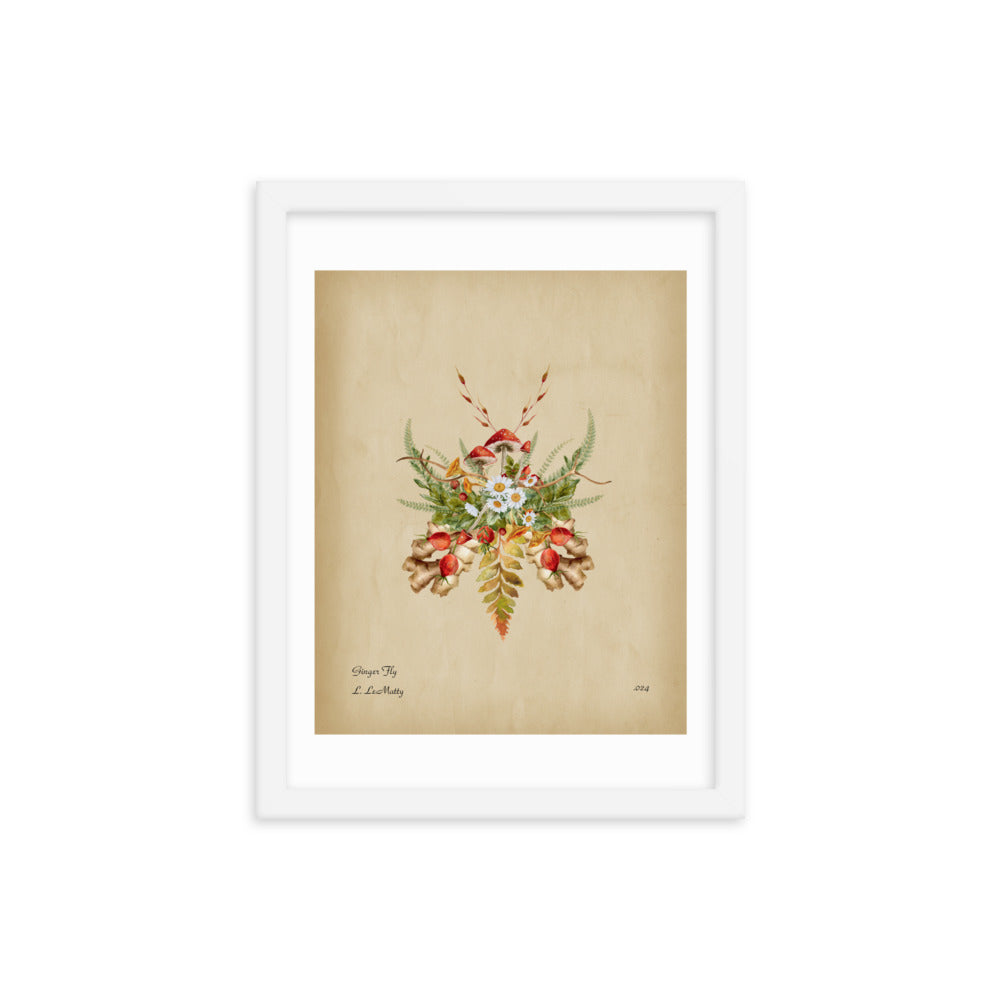 Ginger Fly Print by Lauren LeMatty | Stunning Framed Botanical Insect Poster