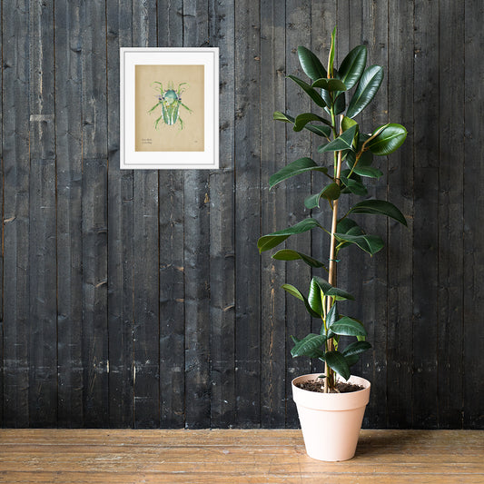 Grass Beetle Print by Lauren LeMatty | Stunning Botanical Illustration Framed Poster