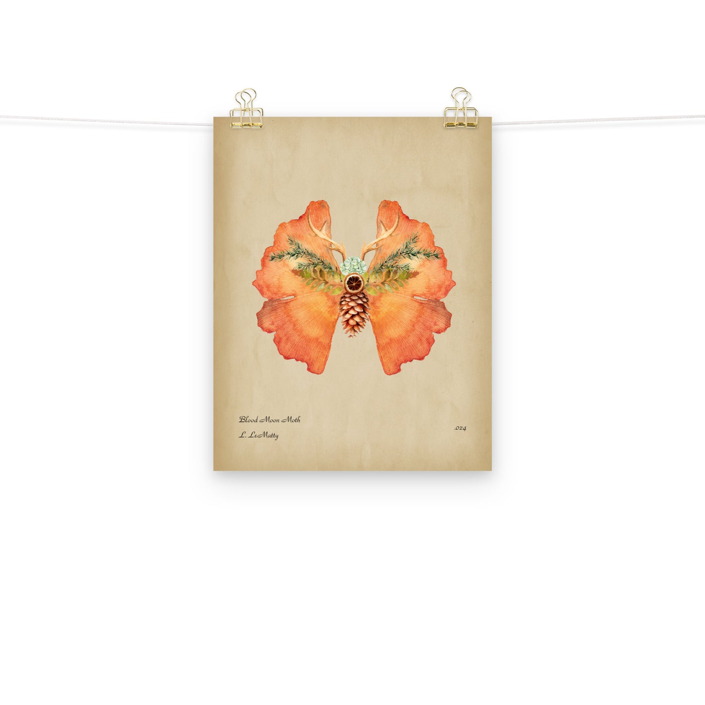 Blood Moon Moth Print | Museum-Quality Posters on Thick Matte Paper | Brighten Your Space with Maine Art