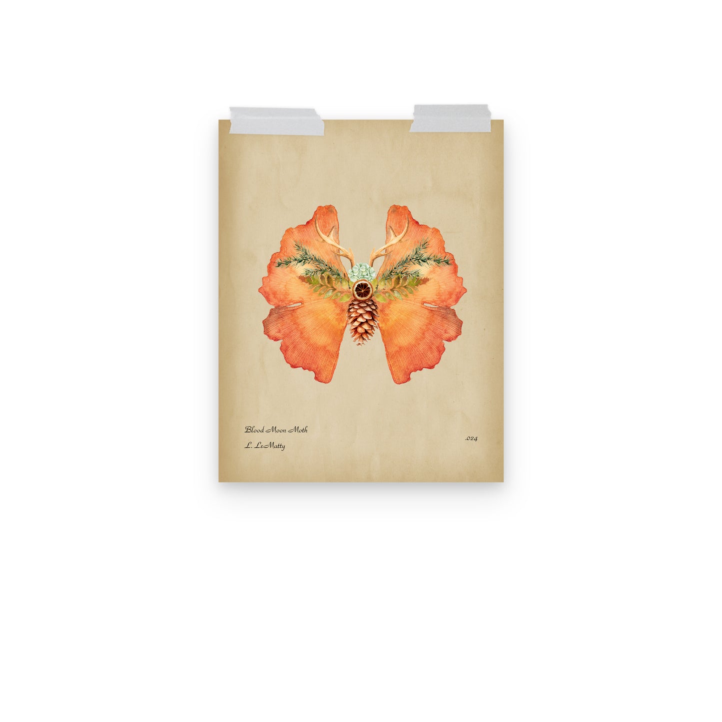 Blood Moon Moth Print | Museum-Quality Posters on Thick Matte Paper | Brighten Your Space with Maine Art