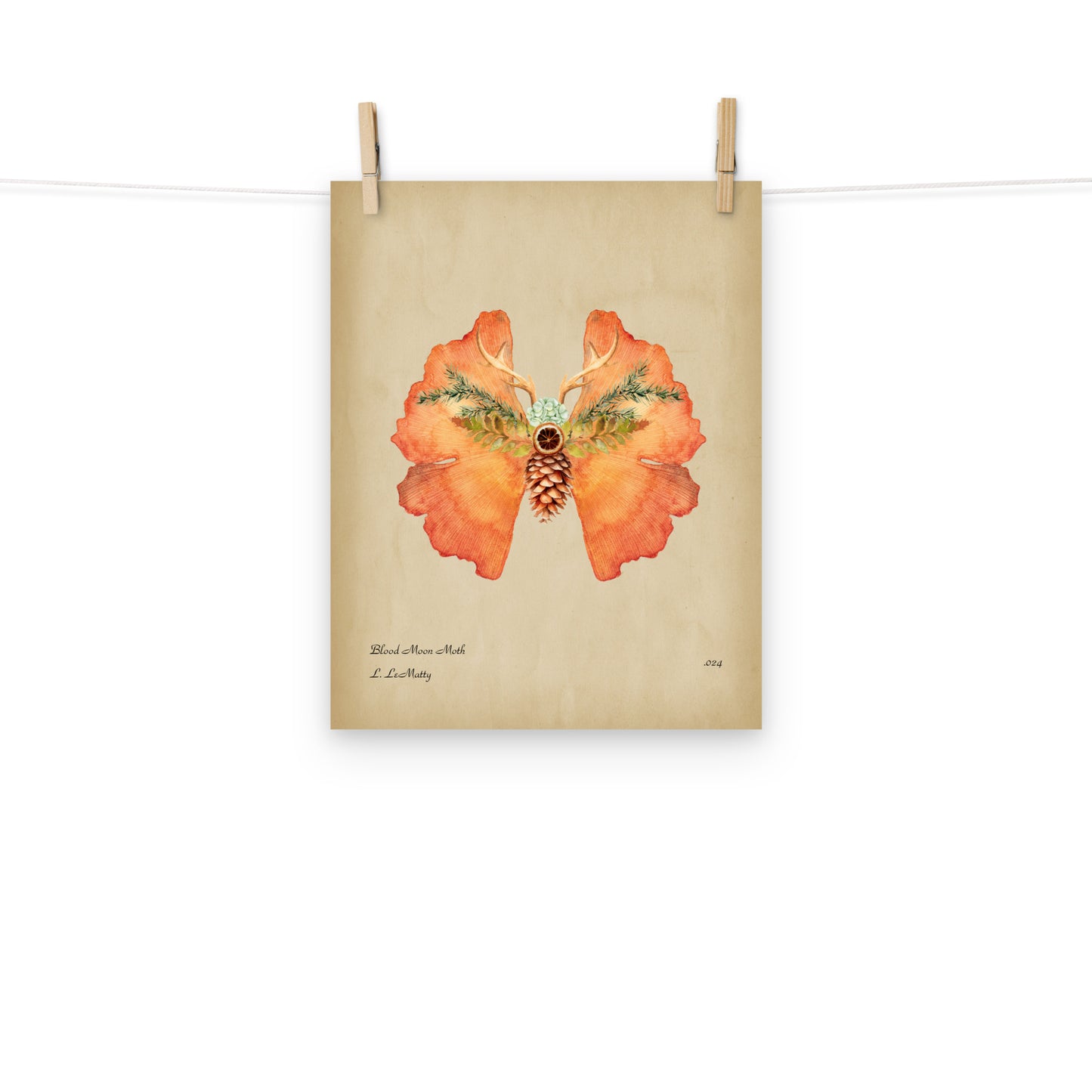 Blood Moon Moth Print | Museum-Quality Posters on Thick Matte Paper | Brighten Your Space with Maine Art