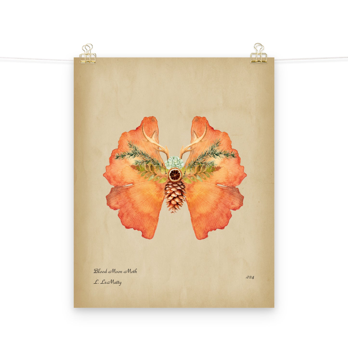 Blood Moon Moth Print | Museum-Quality Posters on Thick Matte Paper | Brighten Your Space with Maine Art