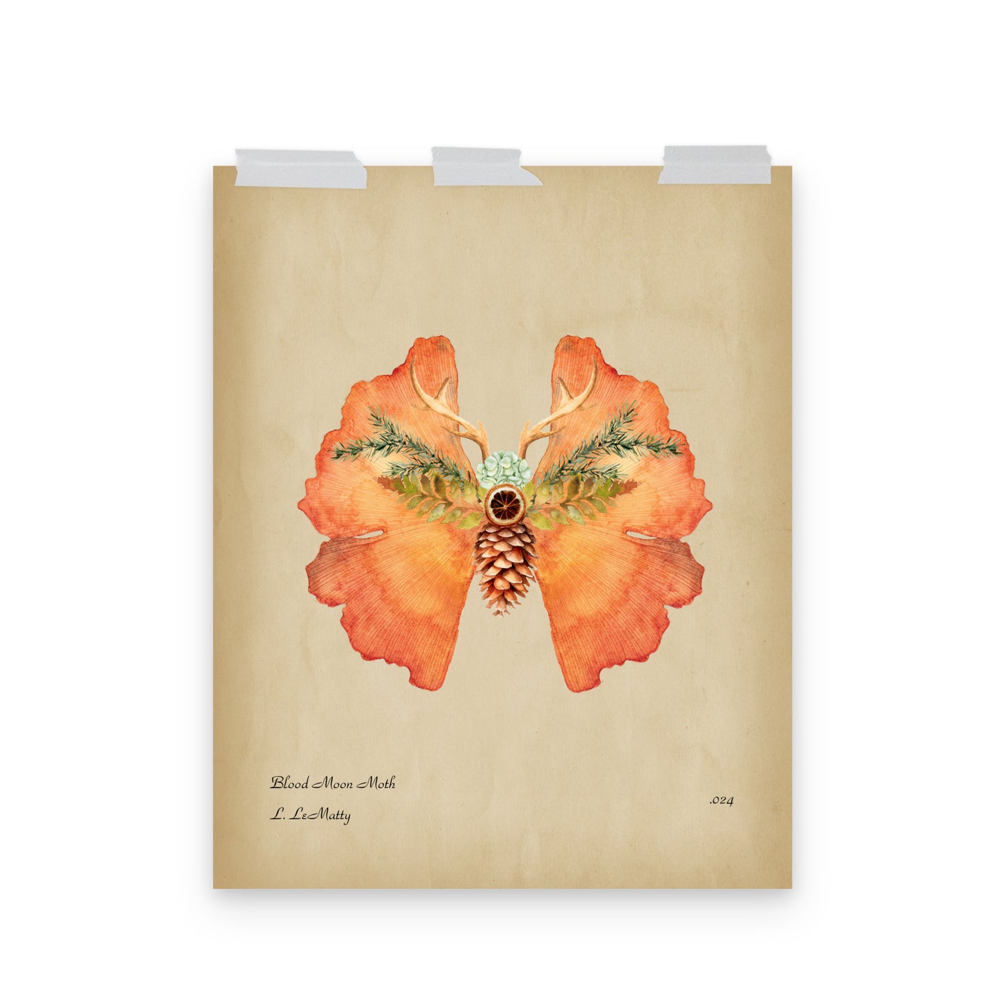 Blood Moon Moth Print | Museum-Quality Posters on Thick Matte Paper | Brighten Your Space with Maine Art