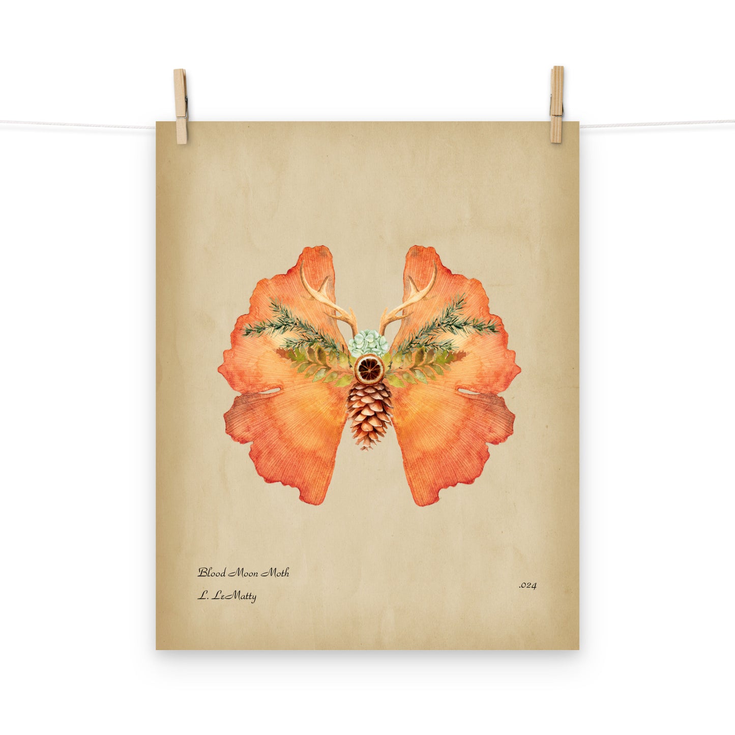 Blood Moon Moth Print | Museum-Quality Posters on Thick Matte Paper | Brighten Your Space with Maine Art