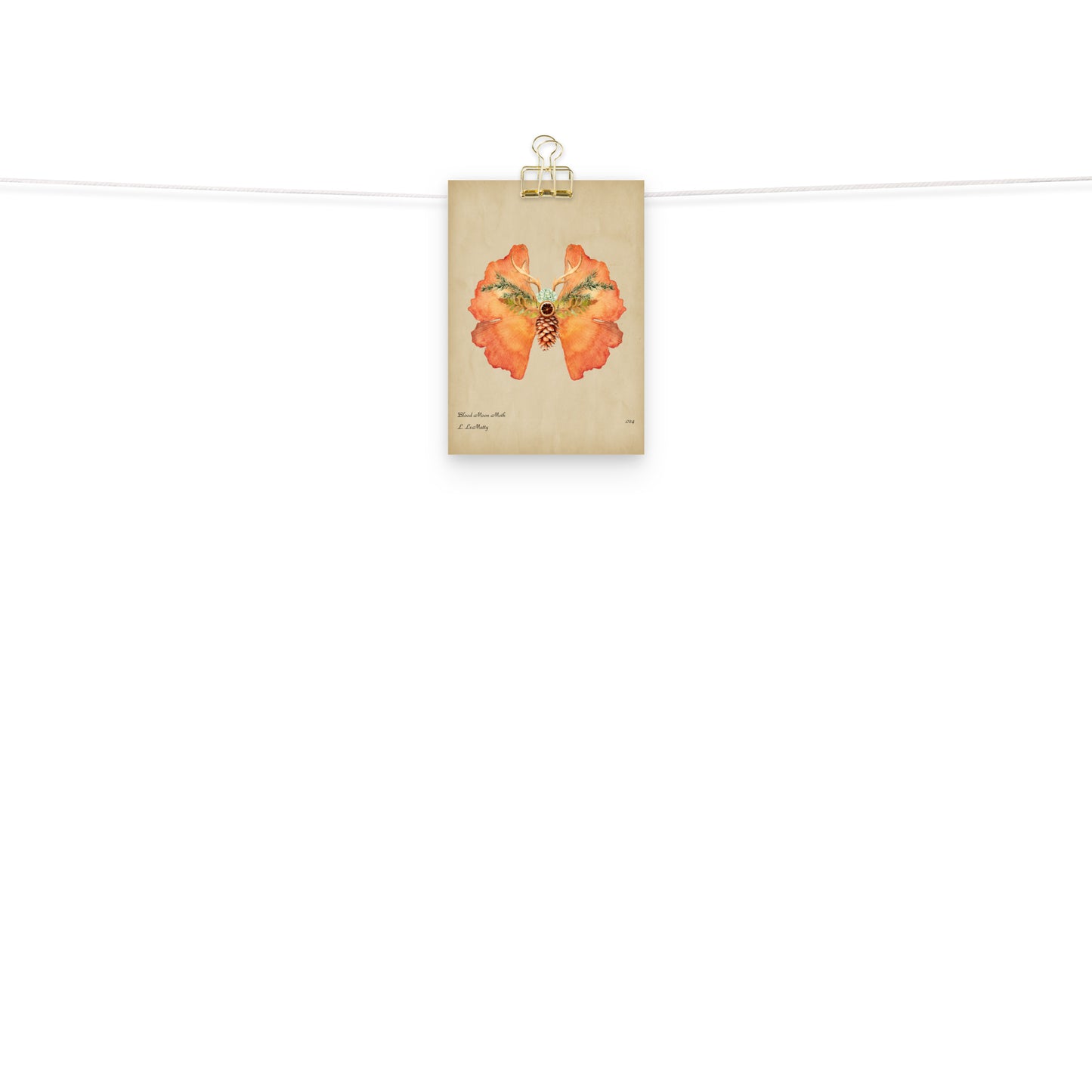 Blood Moon Moth Print | Museum-Quality Posters on Thick Matte Paper | Brighten Your Space with Maine Art