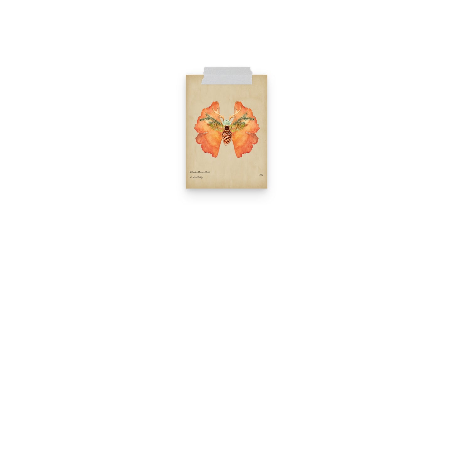 Blood Moon Moth Print | Museum-Quality Posters on Thick Matte Paper | Brighten Your Space with Maine Art