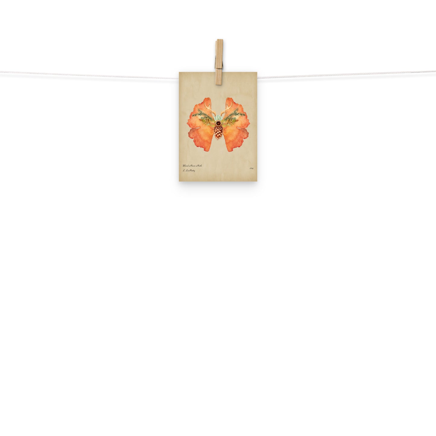 Blood Moon Moth Print | Museum-Quality Posters on Thick Matte Paper | Brighten Your Space with Maine Art