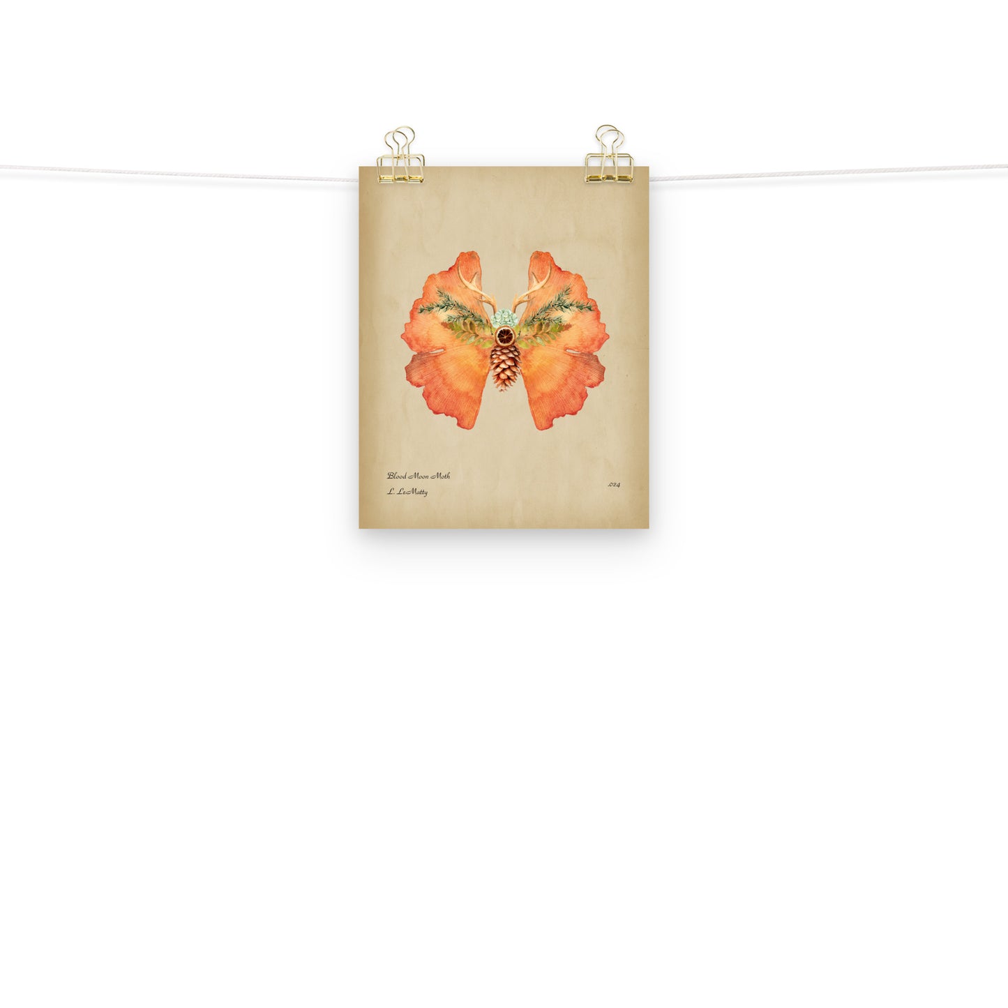 Blood Moon Moth Print | Museum-Quality Posters on Thick Matte Paper | Brighten Your Space with Maine Art