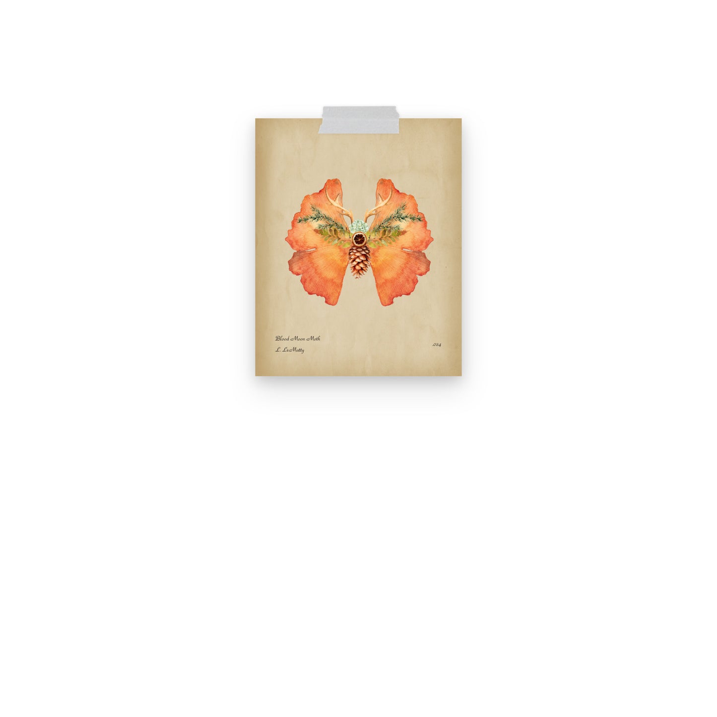 Blood Moon Moth Print | Museum-Quality Posters on Thick Matte Paper | Brighten Your Space with Maine Art