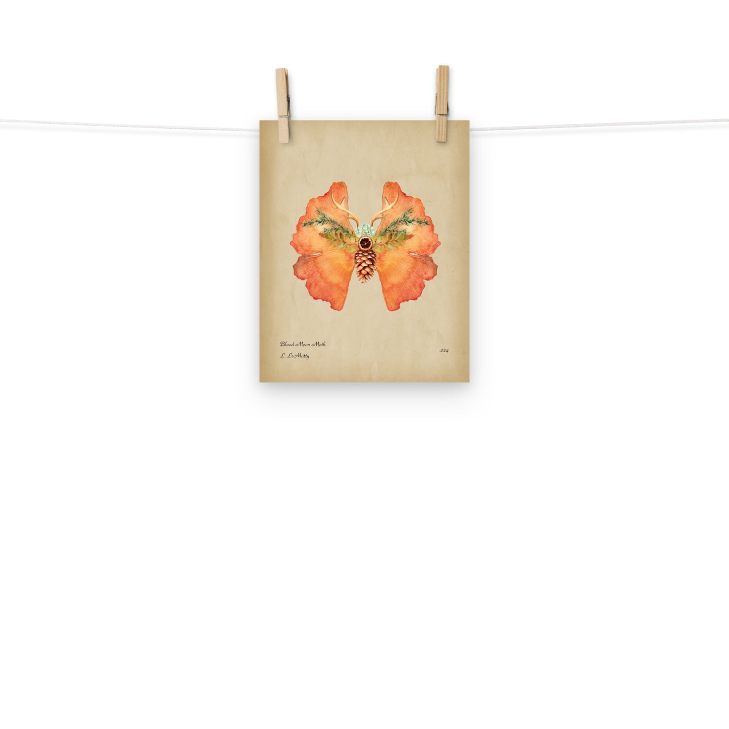 Blood Moon Moth Print | Museum-Quality Posters on Thick Matte Paper | Brighten Your Space with Maine Art