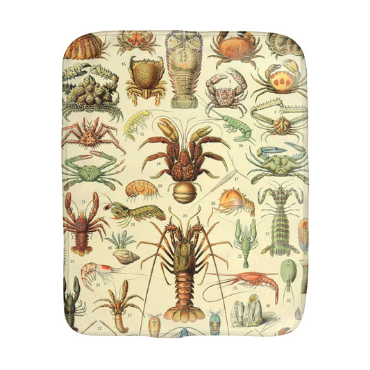 Sea Creature Illustration One Sided Burp Cloth